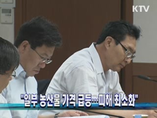 "일부 농산물 가격 급등…피해 최소화"