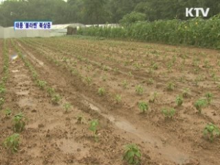 경제 2day (212회)