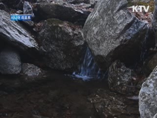 장애인들과 '사랑의 산행' [시니어 리포트]