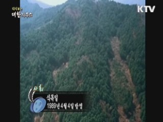 다시보는 대한늬우스 (89.04.04)