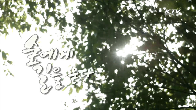 카메듀서의 映像美學 (30회)