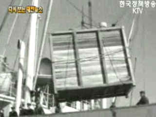 미국에서 젖소 도입, 부산항(`61)