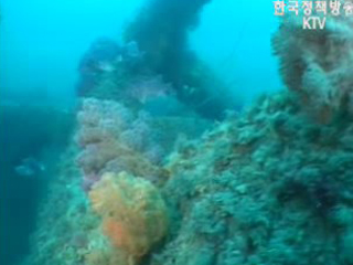 `1.5배` 빠른 상승