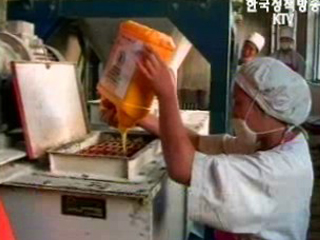 北, 南지원 끊기면 식량 최대 200만t 부족