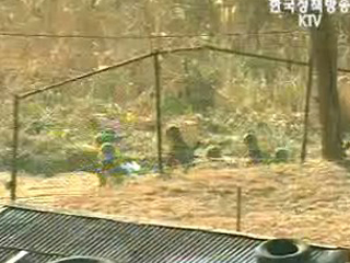 현역병 휴대전화 이용정지시 `요금 인하`