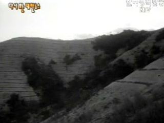 활발한 사방공사(`62)