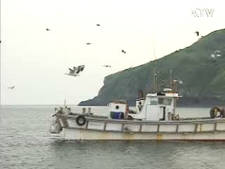 내일부터 한일 어업교섭 2차 실무회의