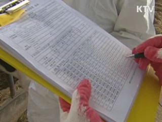 전국 한우 구제역 백신접종 오늘 완료