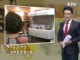 전기요금 인상 '서민충격 최소화'