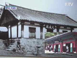 사진으로 본 '안동 문화재 100년'