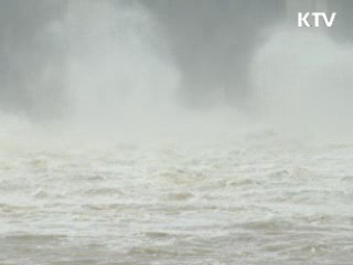 "이번 봄비 경제적 가치 264억원"