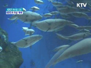 높아진 대한민국 위상 '세계 만방에'