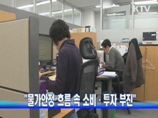"물가안정 흐름 속 소비·투자 부진"