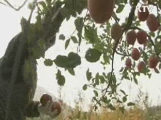 한중FTA '1단계 타결'···1천200개 품목 '보호'