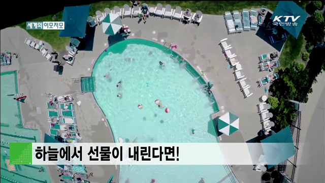 하늘에서 선물이 내린다면! [세계 이모저모]