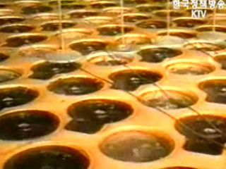 北, 한반도 비핵화 위한 모든 의무 준수