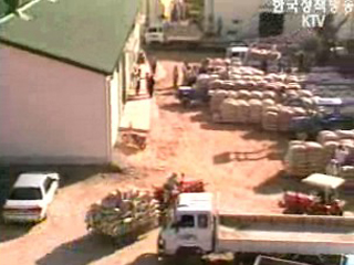 일년에 ‘쌀 한 가마니 안 먹어’