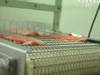 테마기획 ‘바다로 세계로’