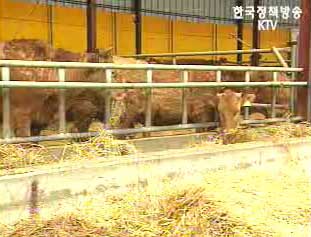 한우 수입산 쇠고기 판별기술 개발