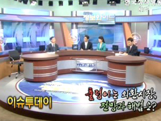 출렁이는 외환시장, 전망과 해법은?