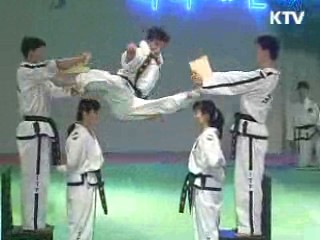 한글·태권도를 명품 브랜드로