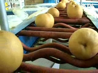 도시민 농촌관광 꾸준히 증가