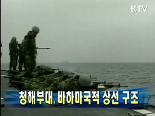 청해부대, 바하마국적 상선 구조