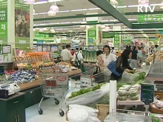 범정부 '내수기반 확충 방안' 추진