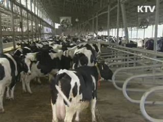 국가재난형 가축질병 방역 기술개발