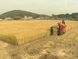 벼농사 신규 농업인 진입요건 등 완화