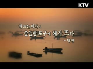 해 뜨는 바다 4. 쓸쓸한 포구에 해가 뜨다 - 당진 [대동문화도]