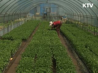 황혼에 피는 매직 인생 [문화공감 대한민국]