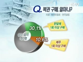 2010년 복권 들여다보기