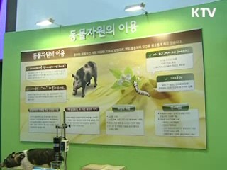 인공고막·인공피부, 생명산업 전성시대