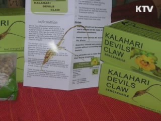 한약재 불법 첨가 식품 제조·판매 업자 적발