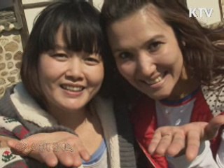 한국인의 기본식품, 된장 만들기 [사랑합니다! 대한민국]