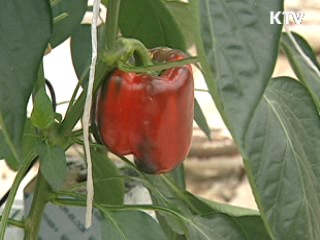 "선진일류 농협 탄생, 적극 뒷받침"