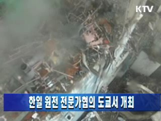 한일 원전 전문가협의 도쿄서 개최