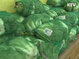 "건고추·마늘 등 김장채소 공급량 확대"