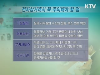 인터넷 전자상거래 주의보 발령 [가계경제 고충처리반]
