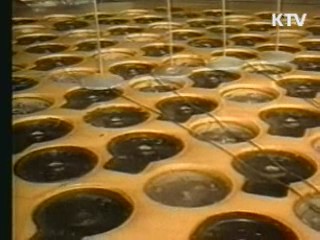 "북 핵무기 최대 13기 보유···전문인력 3천명" 