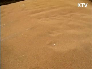 WSJ "북한인권 국제 이슈화, 이 대통령 업적"