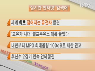 실시간 인터넷 검색어