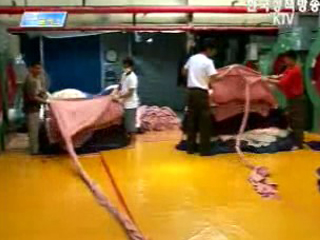 2007 외국인력도입계획