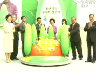 용산기지 공원화 2045년까지 완성