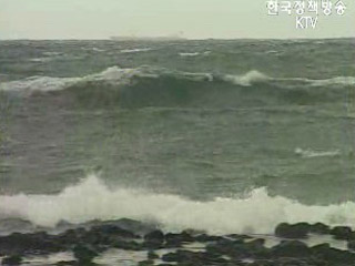 태풍피해 상황종합