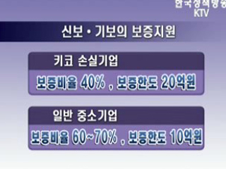 '키코' 손실기업 신속 지원