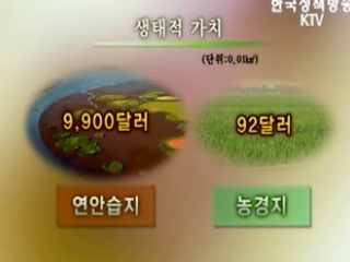 천혜의 해안습지를 가다