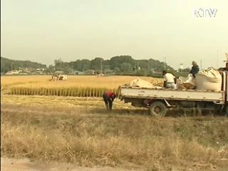 쌀 직불금, 1만㎡ 이상 경작시 지급