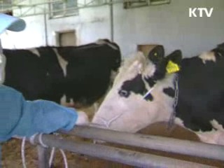 12번째 구제역 의심…'음성' 판정